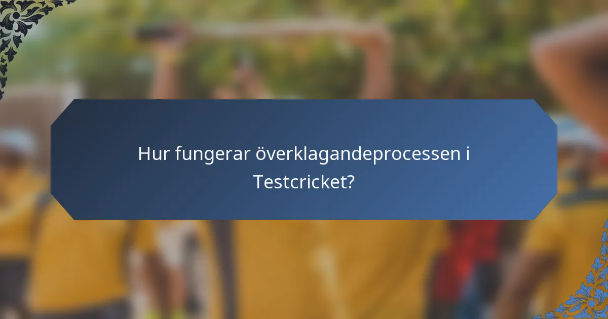 Hur fungerar överklagandeprocessen i Testcricket?