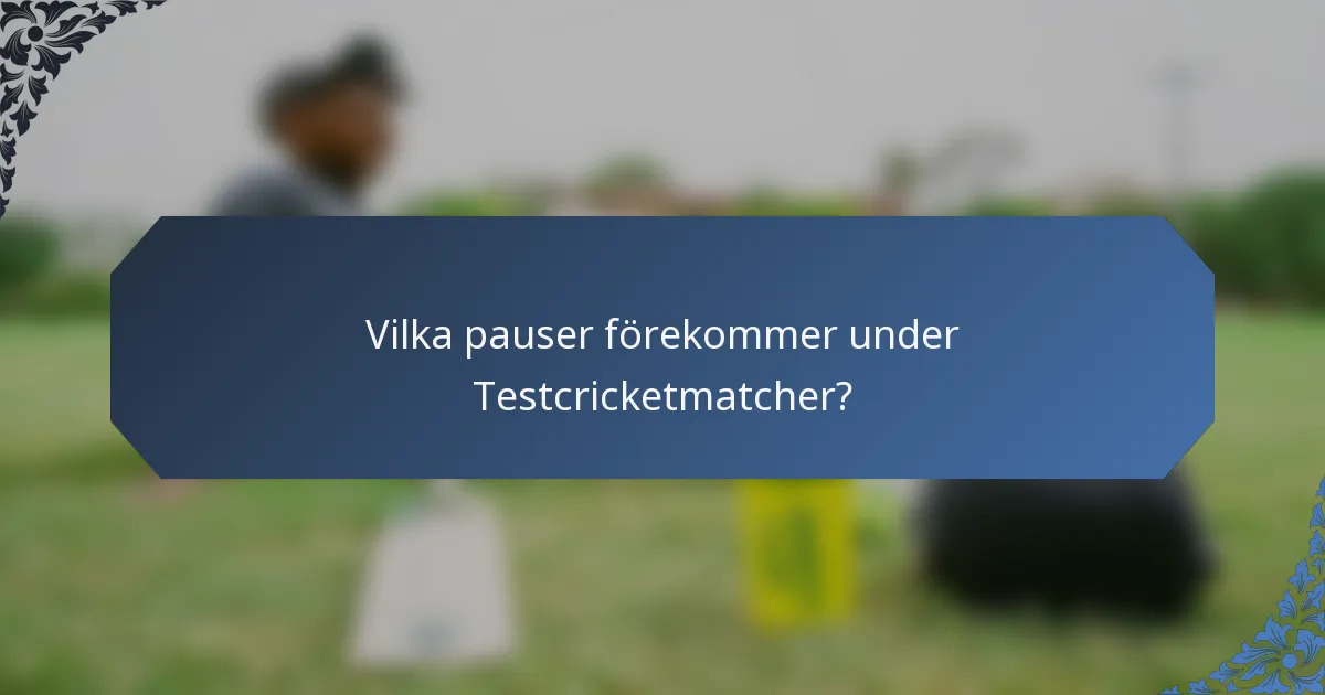 Vilka pauser förekommer under Testcricketmatcher?