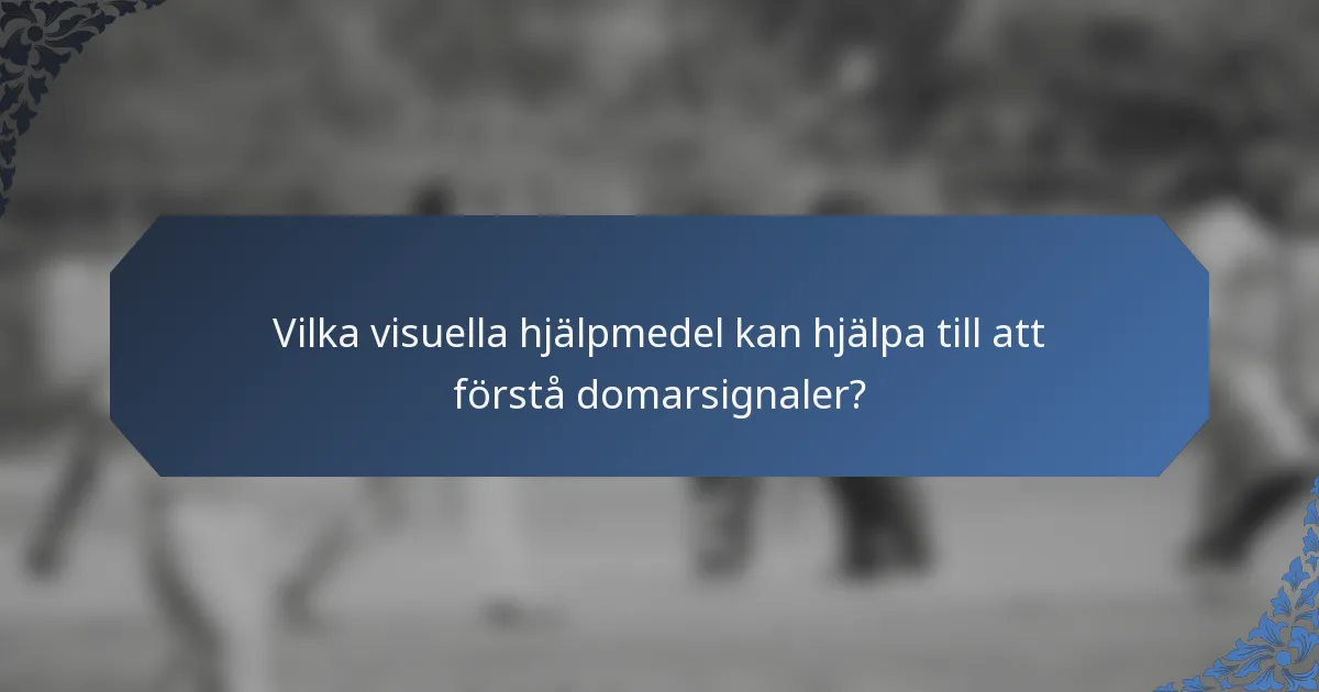 Vilka visuella hjälpmedel kan hjälpa till att förstå domarsignaler?